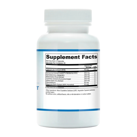 AUTOPHAGY SUPPORT
